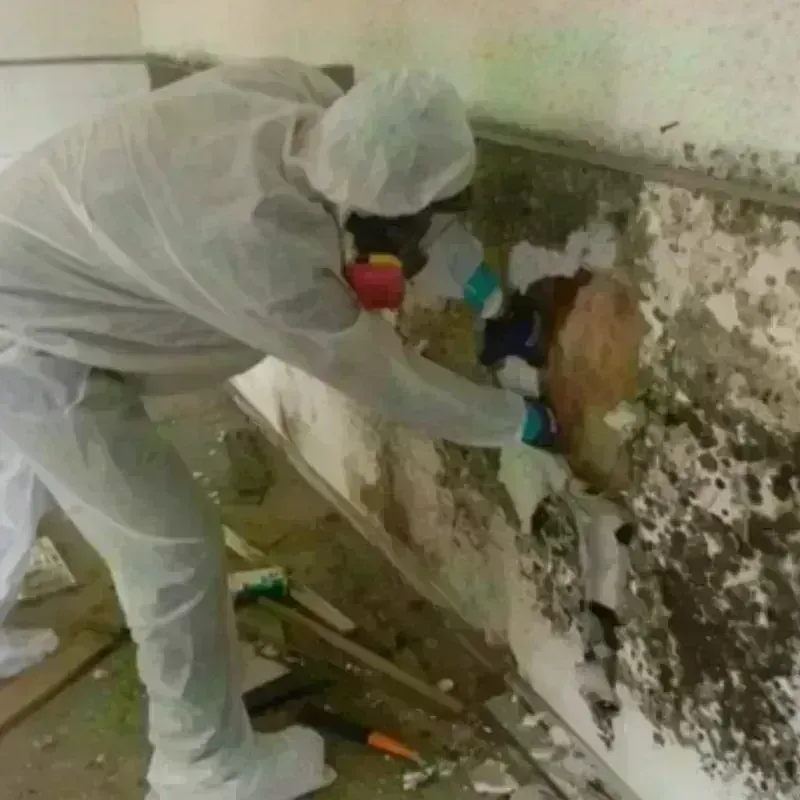 Mold Remediation and Removal in River Bend, NC