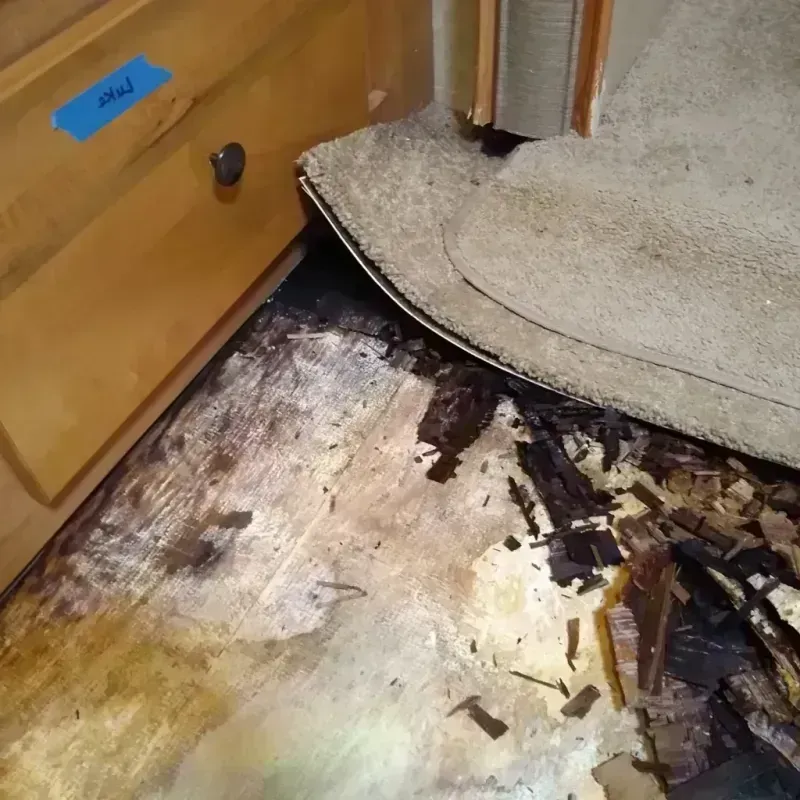 Wood Floor Water Damage in River Bend, NC